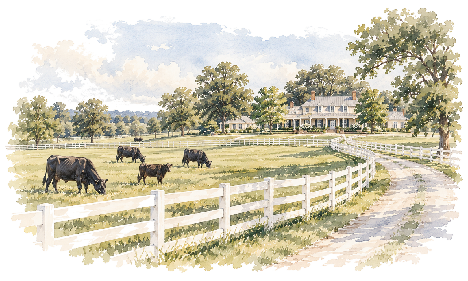 Watercolor illustration of Sky King Ranch — a farmhouse, long white fence and grazing cows